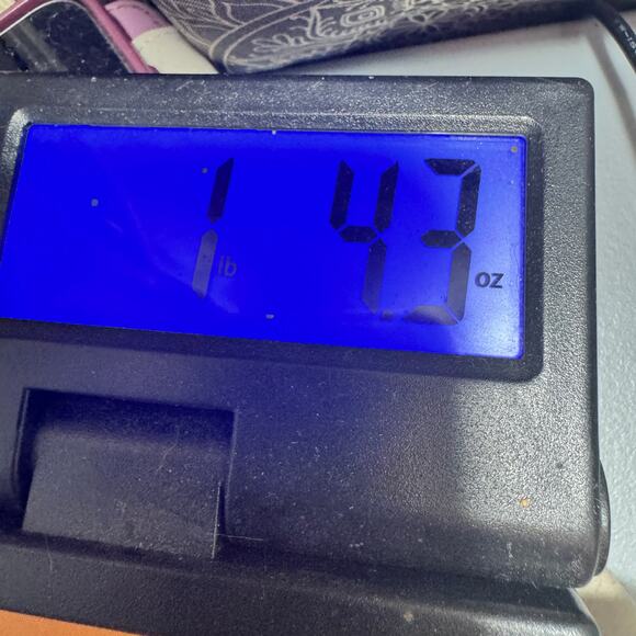 Gloria Vanderbilt Amanda Womens Jeans Size 8 Blue Denim Tapered Leg High Rise - Picture 15 of 15